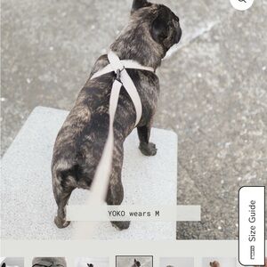 Lambwolf Collective - Escape Proof  / Waterproof OTTO Harness (M) - Cabin